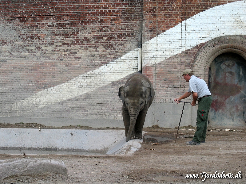 KBH zoo 190703 419.JPG